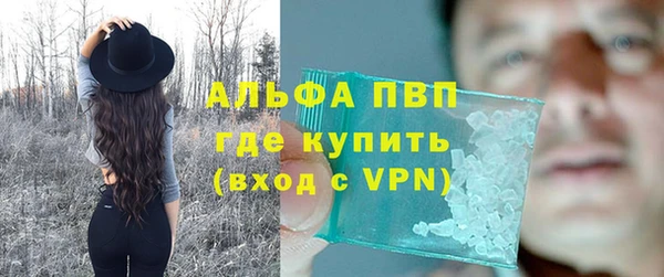 ГАЛЛЮЦИНОГЕННЫЕ ГРИБЫ Лагань