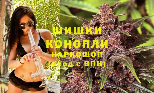 apvp Лиски