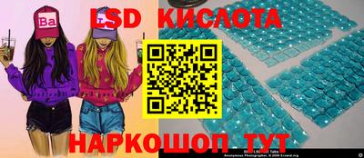 spice Донской