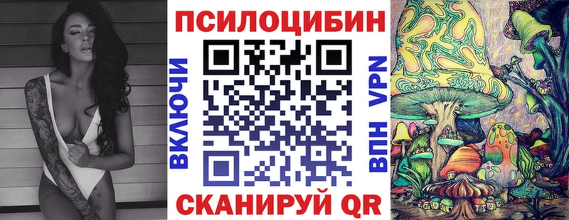 магазин продажи   Михайловка  Псилоцибиновые грибы Psilocybine cubensis 
