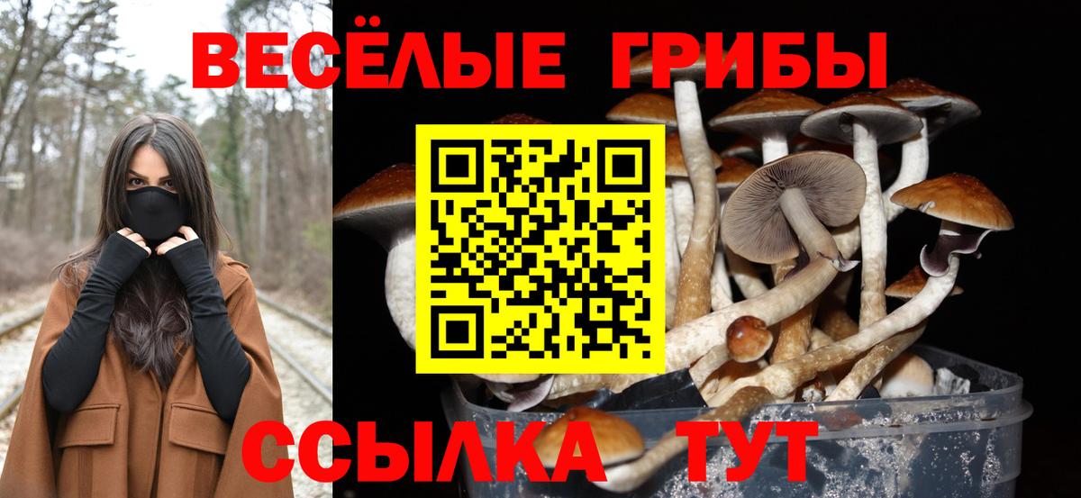 Галлюциногенные грибы ЛСД Михайловка