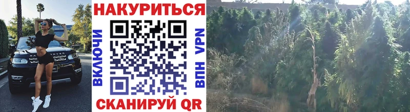 магазин продажи наркотиков Михайловка Шишки марихуана ГИДРОПОН